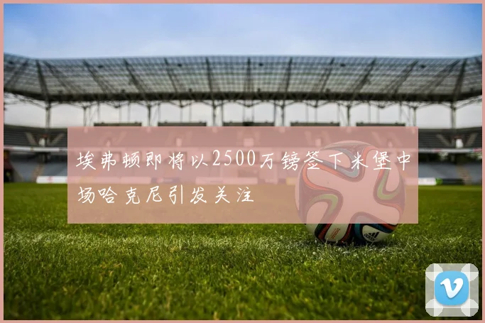 埃弗顿即将以2500万镑签下米堡中场哈克尼引发关注