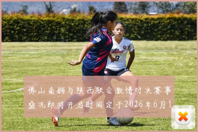 佛山南狮与陕西联合激情对决赛事盛况即将开启时间定于2026年6月14日周日晚上七点半