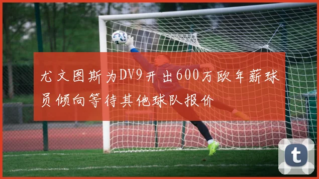 尤文图斯为DV9开出600万欧年薪球员倾向等待其他球队报价